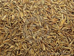 Manufacturers Exporters and Wholesale Suppliers of Cumin Seeds Ahmedabad Gujarat